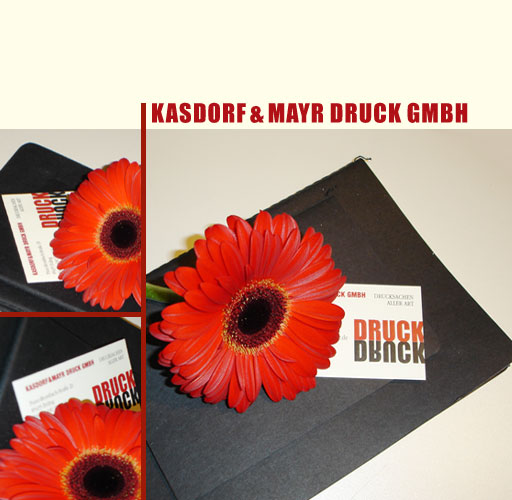 Kasdorf & Mayr Druck Profil
